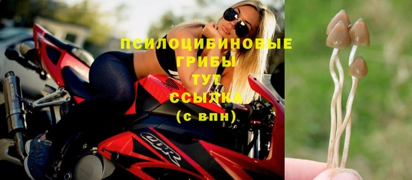 ПСИЛОЦИБИНОВЫЕ ГРИБЫ Алзамай