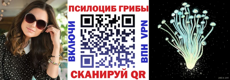 где найти наркотики  Рошаль  МЕГА ТОР  Галлюциногенные грибы GOLDEN TEACHER 